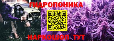 гашишное масло Кингисепп