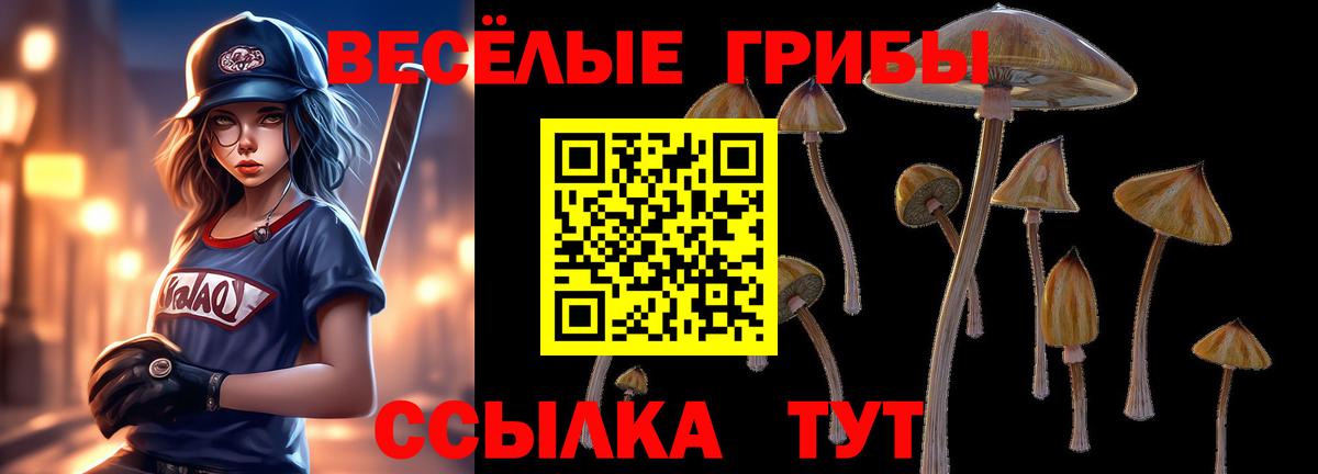 Коркино  Галлюциногенные грибы прущие грибы  Галлюциногенные грибы MAGIC MUSHROOMS  Вход с VPN 