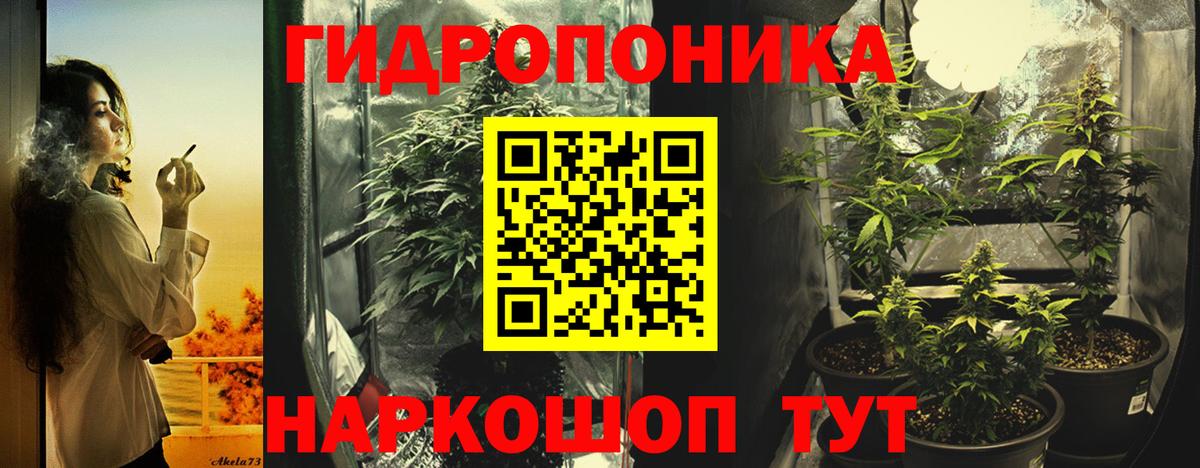 Каннабис семена  Каннабис план  Вход с VPN  Коркино  МАРИХУАНА семена  Бошки Шишки AK-47 